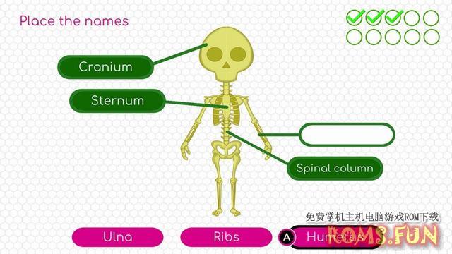 图片[4]-NS 身体探索/BodyQuest-美淘游戏